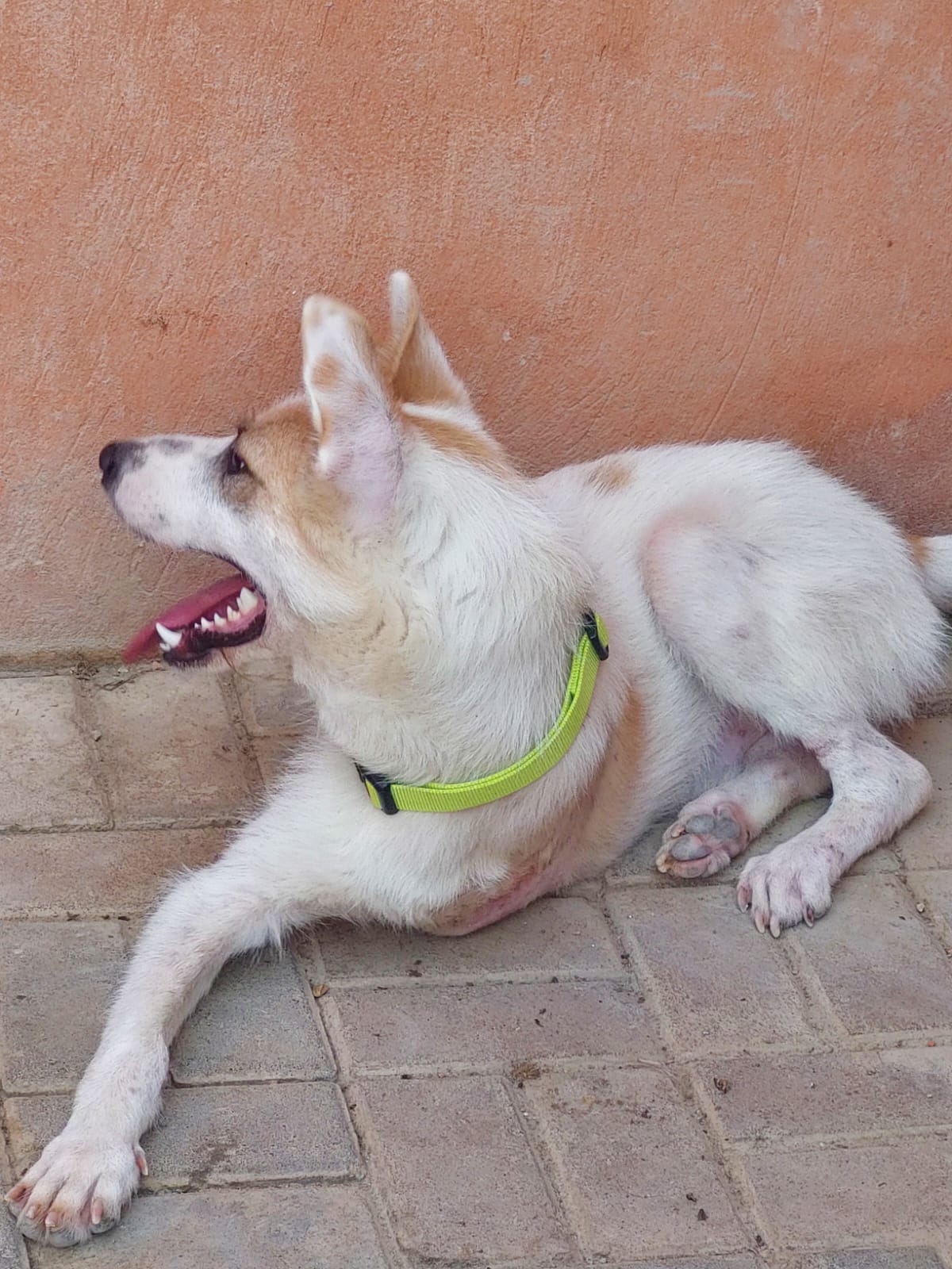 عزوز يرتاح بسلام